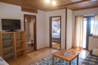 Apartma BioFit Bled - Bled - 9