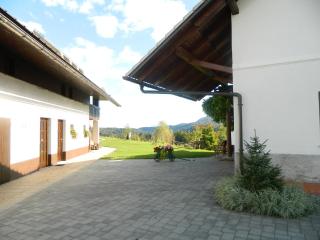 Apartma BioFit Bled - Bled - 6