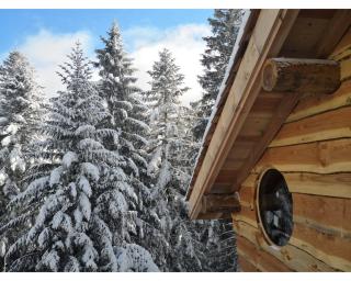 Cabanes des Volcans - 1