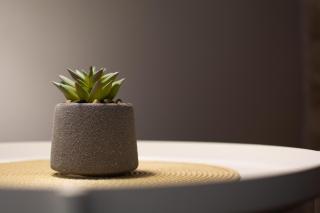 Noemie Studios - Athani - 4