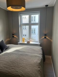 Luxury new apartment - Heart of Copenhagen - 1