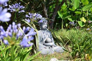 Taormina Villa Ibiscus Alcantara - 6