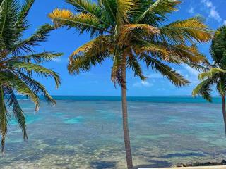 Newly Renovated 8 Bedroom Ocean Front Villa with Pool - Rio Grande - 5