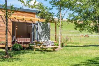 Sunset Cabins - Studio Pod-Sleeps 3-TJSSSC - 4