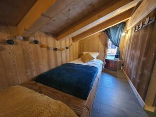 Chalet cosy et moderne vue montagnes - Seytroux - 2
