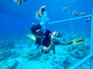The Barefoot Eco Hotel - Hanimaadhoo - 4