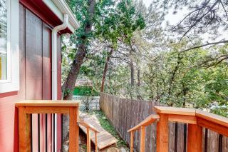 Lazy Bear Retreat - 1