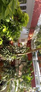 Daphne Hotel - Mahabalipuram - 7