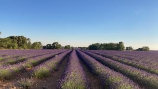 Casa Rural El Edén del Ungría - 8
