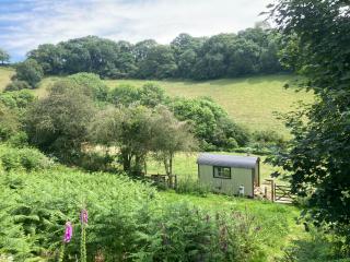 Usk Valley Shepherd's Hut - Cwmbran - 9
