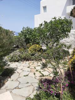 Angela's Rooms - Mikonos - 3