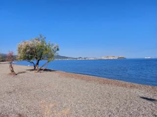Villa Giolù - Portoferraio - 7