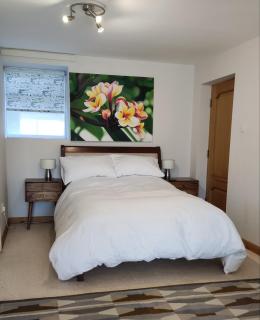 Wood Bank Studio Apartment - Purmerend - 1