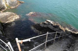 Nel blu dipinto di blu - 1