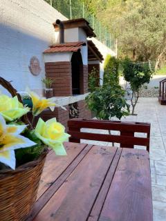 Villa Zagara - Gioiosa Ionica - 3