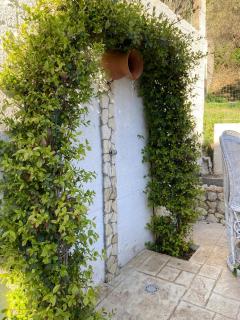 Villa Zagara - Gioiosa Ionica - 4
