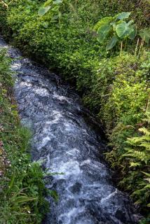 Furnas Sweet Home - Furnas - 4