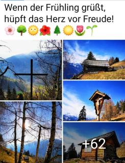 Rackhof - Oberlienz - 6