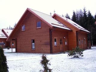 Ferienhaus Nr 24, Typ A, Ferienanlage Blauvogel, Hasselfelde, Harz - Hasselfelde - 0