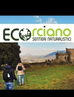 B&B Al Borgo - Corciano - 7