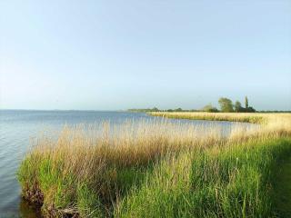 Guldborg Camping & Cottages - Famillyspace - 2