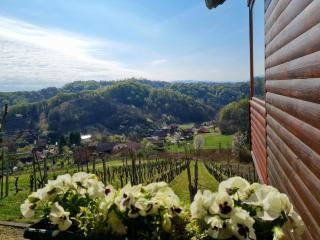 Ruralna kuća za odmor RAJSKI MIR - Tuhelj - 4