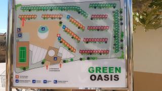 Green Oasis by the pool - Costa Calma - 5