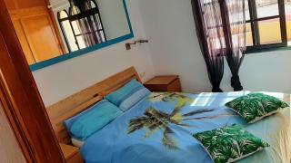 Green Oasis by the pool - Costa Calma - 8