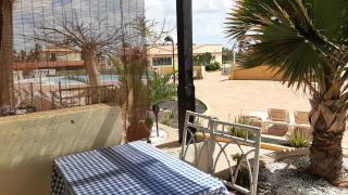 Green Oasis by the pool - Costa Calma - 7