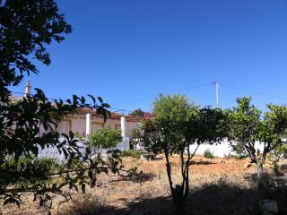 Quinta do Amendoal o melhor da Natureza no Algarve - 6