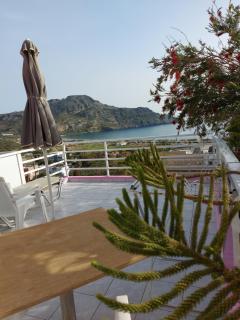 Camelia - Plakias - 1
