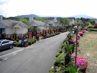 Jeju Skyline Pension - Jeju - 1
