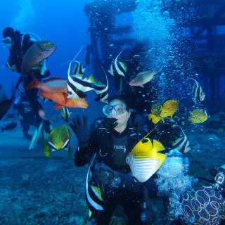 Green Island Ocean Rhythem dive B&B 綠島海韻民宿 - Ilha Verde - 2