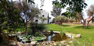 Cortijo Nerja Artist Paradise - 1