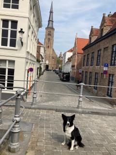 APL8 St-Anna B&B - Bruges - 9
