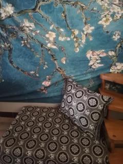 Entre Mer et Montagne Maison de village AVEC VUE SUR LE CANIGOU à 5 minutes à pied du Lac, située dans le joli village de Vinca, Village aux 3 lacs, SOLEIL et Campagne - 1