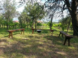 Traditional cottage at Lake Balaton - 4