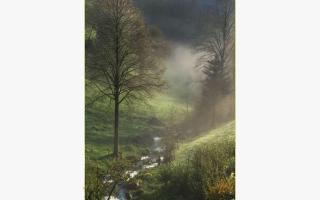 Haldenschwarzhof - 2