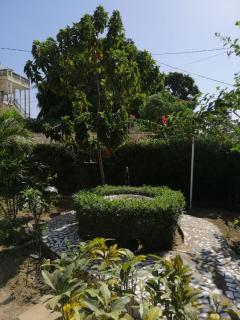Swiss Garden House in Kerr Sering With Full Private Compound - 9