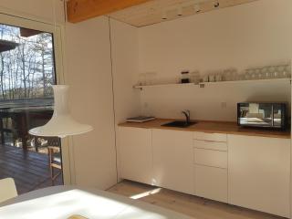 Guest house in the Forest - 2