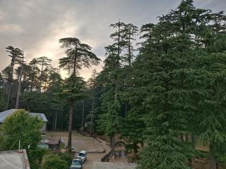 Edenroc.khajjiar - Khajjiar - 7