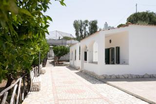 Penta Garden - Peschici - 0