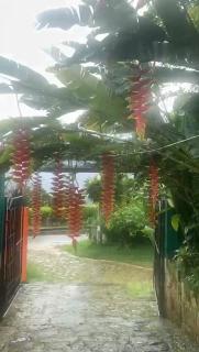 APARTAHOTEL TAYAMBE - La Mesa - 8