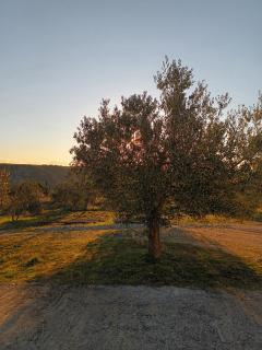 Apartman Skradin - Skradin - 5
