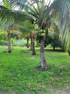 RECANTO DO SABIÁ - 8