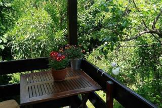 Yellow villa - Sinemorets - 1