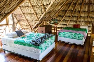 Pine Ridge Lodge - San Ignacio - 8