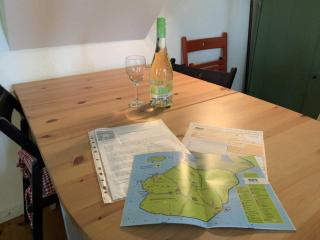 Meduse - Nordstrand - 5