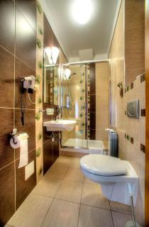 Hotel Carpatia Bieszczadzki Gościniec - Wetlina - 6