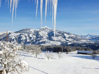 Apartment Entalhof by Interhome - 6